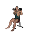Shoulder Press - Dumbbell